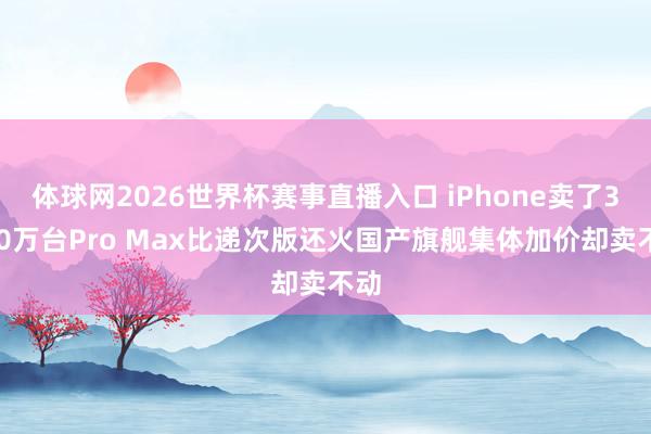 体球网2026世界杯赛事直播入口 iPhone卖了3040万台Pro Max比递次版还火国产旗舰集体加价却卖不动