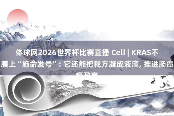 体球网2026世界杯比赛直播 Cell | KRAS不单在膜上“施命发号”: 它还能把我方凝成液滴, 推进肠癌孕育