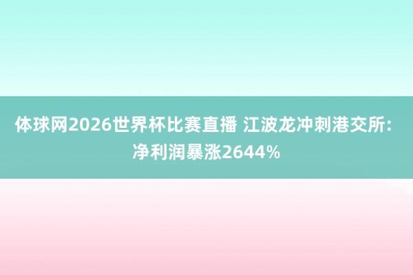 体球网2026世界杯比赛直播 江波龙冲刺港交所: 净利润暴涨2644%