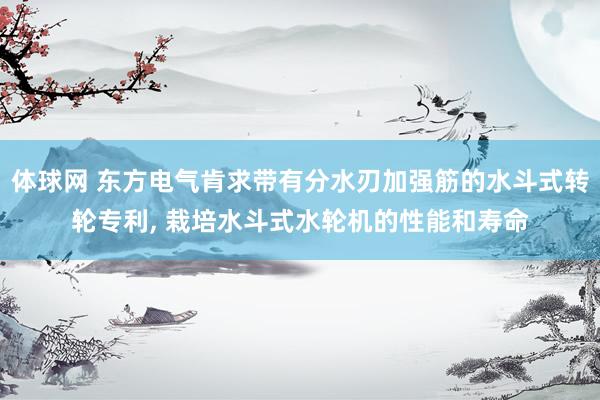 体球网 东方电气肯求带有分水刃加强筋的水斗式转轮专利, 栽培水斗式水轮机的性能和寿命