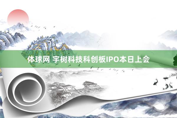 体球网 宇树科技科创板IPO本日上会