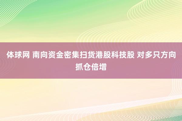 体球网 南向资金密集扫货港股科技股 对多只方向抓仓倍增