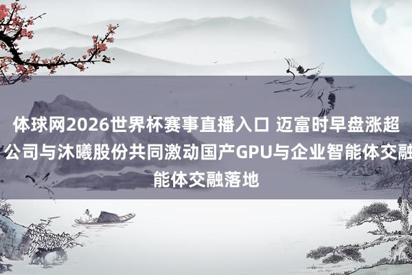 体球网2026世界杯赛事直播入口 迈富时早盘涨超14% 公司与沐曦股份共同激动国产GPU与企业智能体交融落地