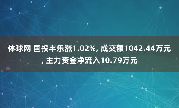 体球网 国投丰乐涨1.02%, 成交额1042.44万元, 主力资金净流入10.79万元