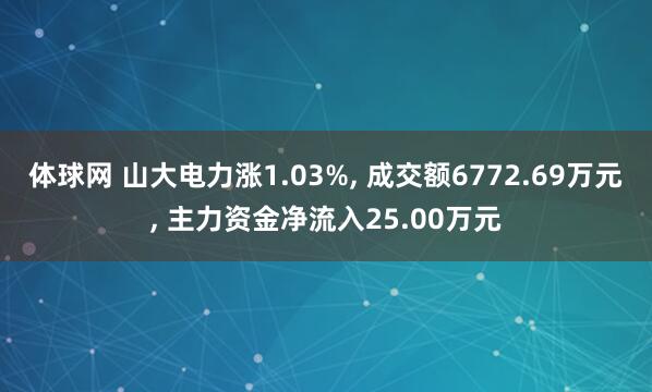 体球网 山大电力涨1.03%, 成交额6772.69万元, 主力资金净流入25.00万元
