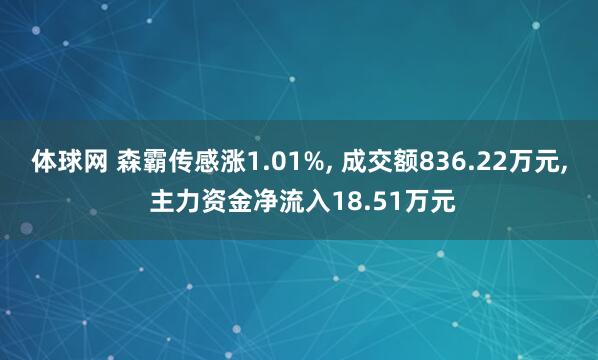 体球网 森霸传感涨1.01%, 成交额836.22万元, 主力资金净流入18.51万元