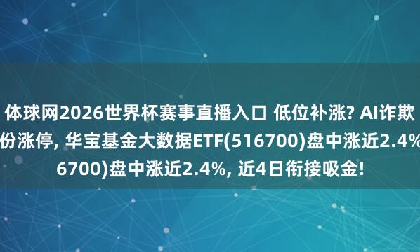 体球网2026世界杯赛事直播入口 低位补涨? AI诈欺意见活跃, 税友股份涨停, 华宝基金大数据ETF(516700)盘中涨近2.4%, 近4日衔接吸金!