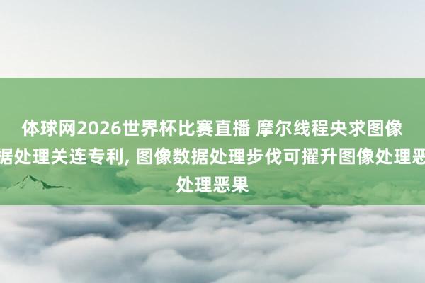 体球网2026世界杯比赛直播 摩尔线程央求图像数据处理关连专利， 图像数据处理步伐可擢升图像处理恶果