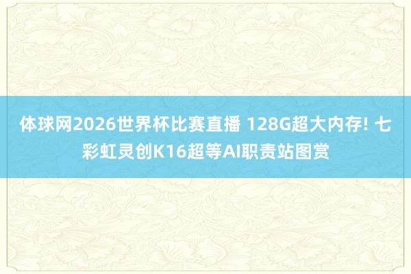 体球网2026世界杯比赛直播 128G超大内存! 七彩虹灵创K16超等AI职责站图赏