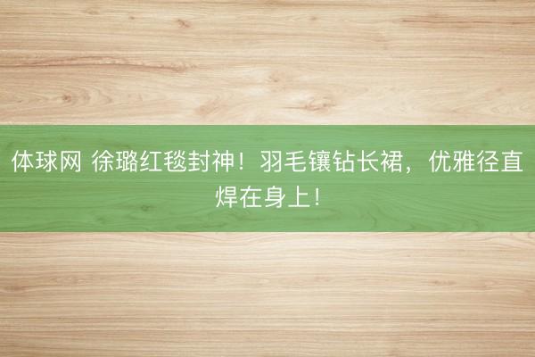 体球网 徐璐红毯封神！羽毛镶钻长裙，优雅径直焊在身上！