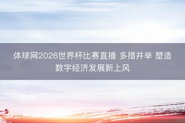 体球网2026世界杯比赛直播 多措并举 塑造数字经济发展新上风