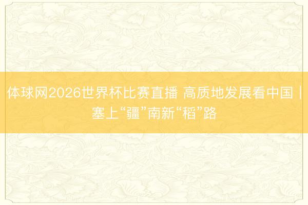 体球网2026世界杯比赛直播 高质地发展看中国|塞上“疆”南新“稻”路