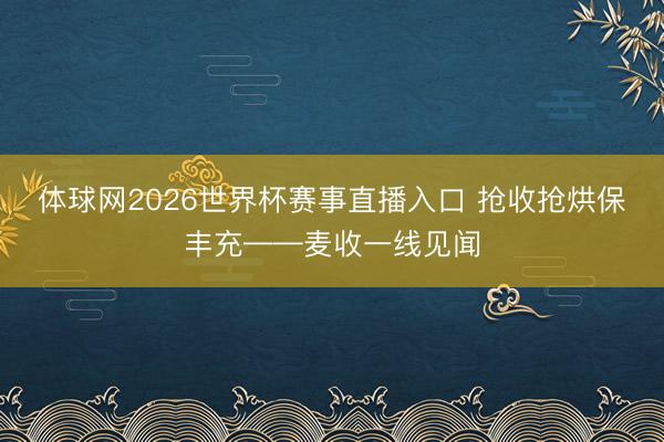 体球网2026世界杯赛事直播入口 抢收抢烘保丰充——麦收一线见闻