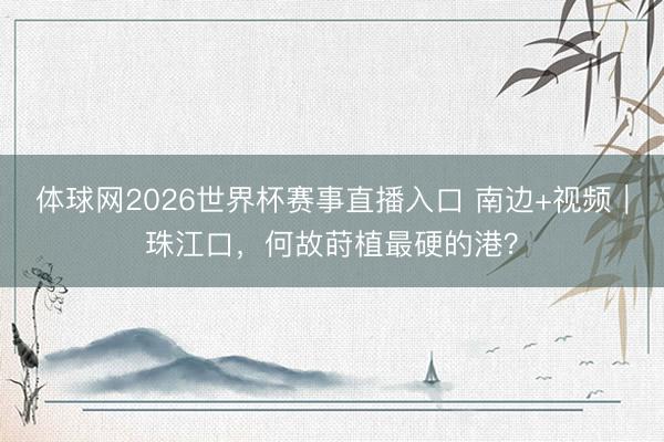 体球网2026世界杯赛事直播入口 南边+视频｜珠江口，何故莳植最硬的港？