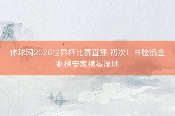 体球网2026世界杯比赛直播 初次！白脸鸻金眶鸻安家横琴湿地