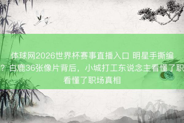 体球网2026世界杯赛事直播入口 明星手撕编剧团队?白鹿36张像片背后,小城打工东说念主看懂了职场真相